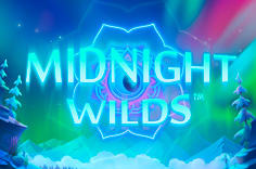 Midnight Wilds™