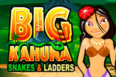 Free big kahuna slot games