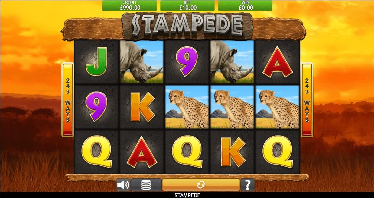 Play stampede slot machine online