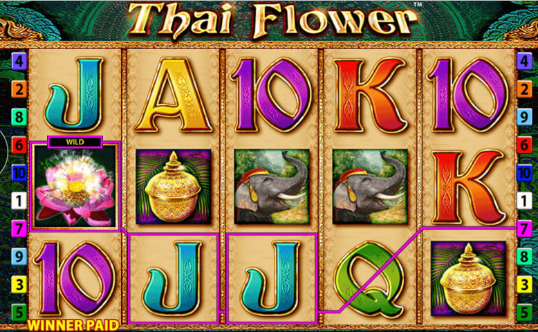 Play thai flower slot game