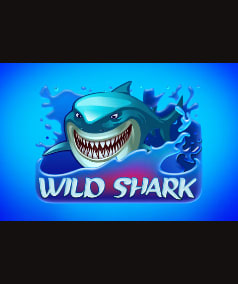 Wild Shark