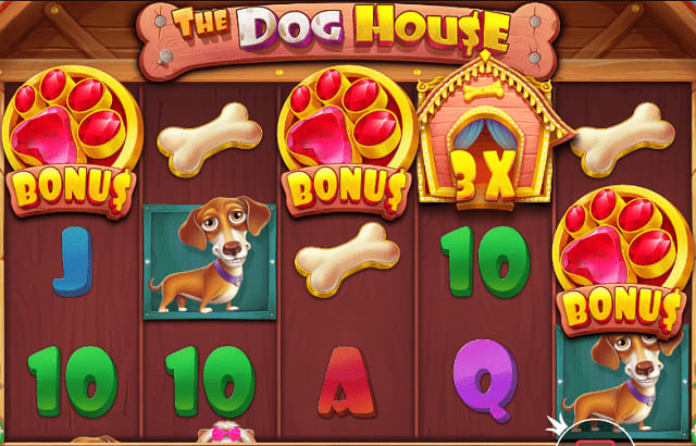 Platin casino doghouse