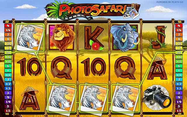 Safari slot big win