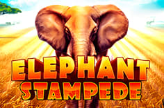 Elephant stampede demo