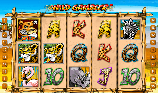 Wild Gambler