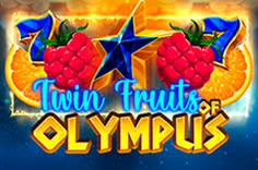 DOUBLE TRIPLE FRUITS: video slot game by Mascot Gaming