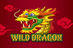 icon game for Wild Dragon