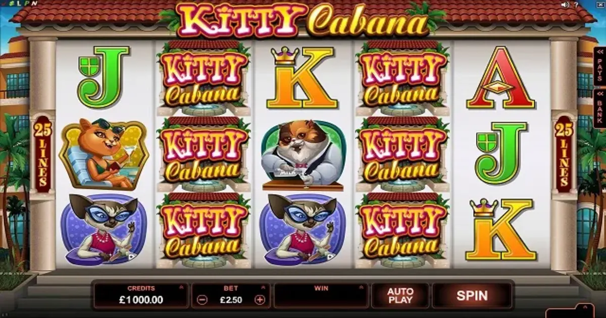 Free online cats slot game